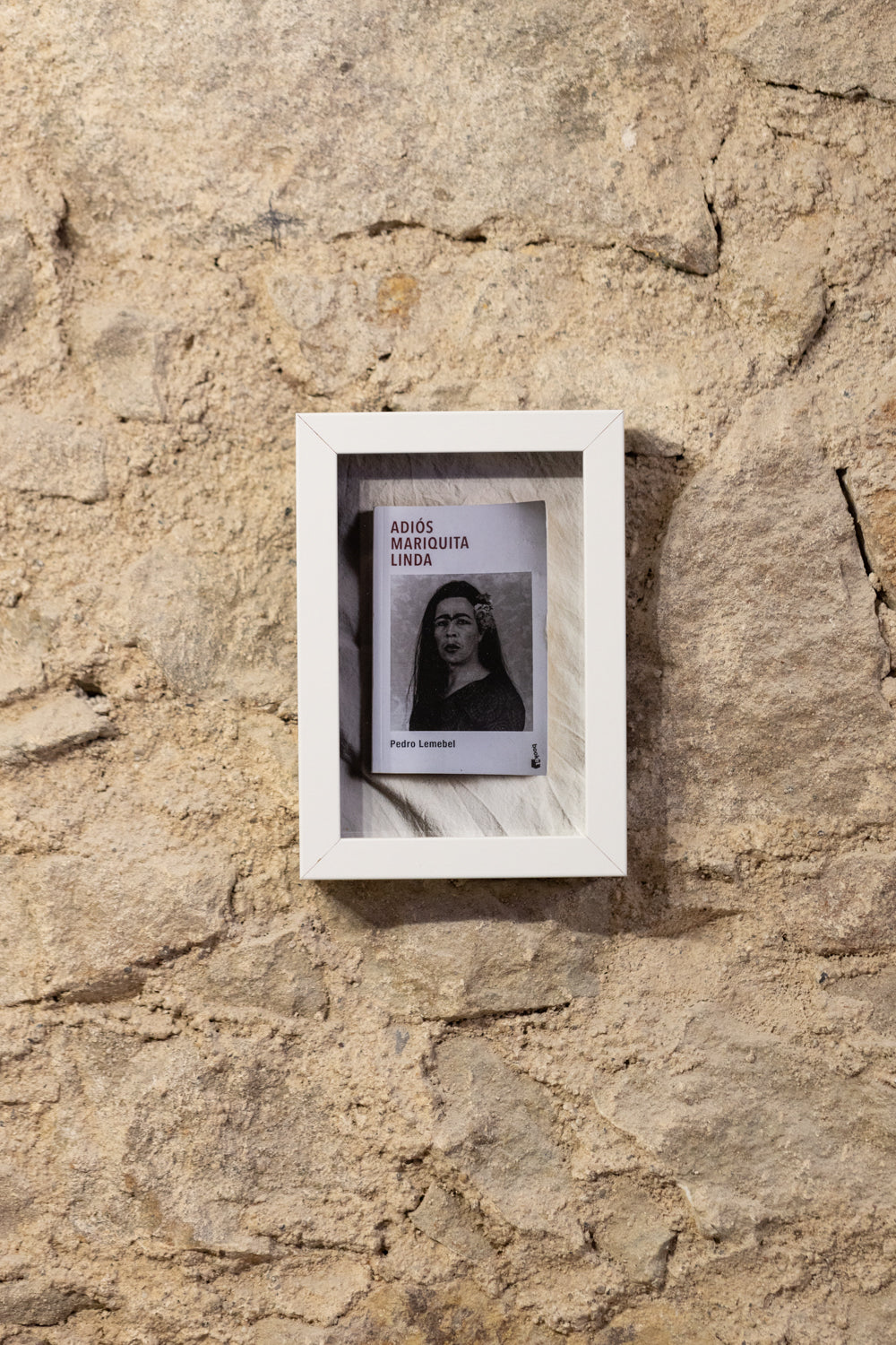 Andrea Gianella 01_Mariquita linda