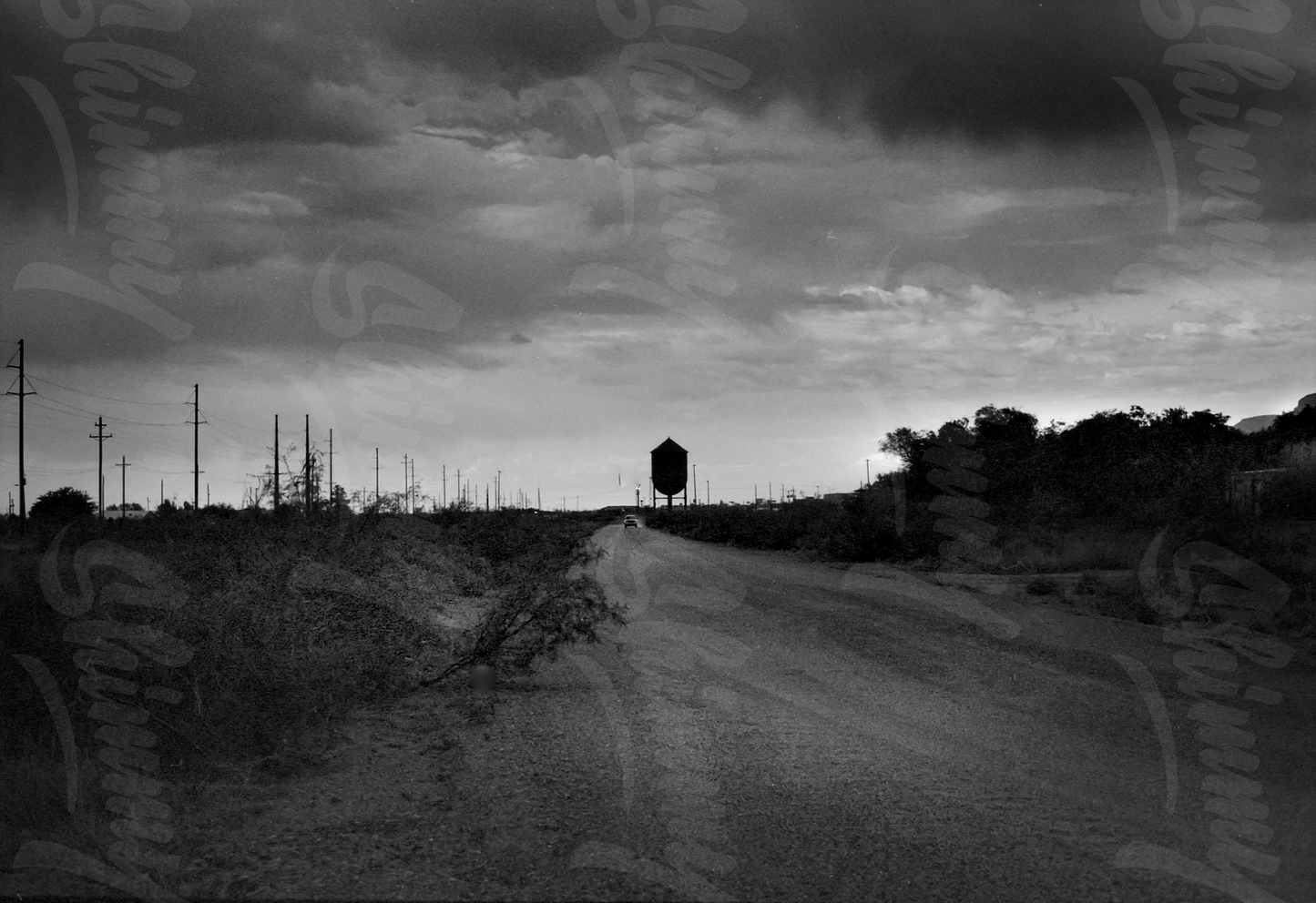 Medium Photo Print by Tara Dilloughery 9