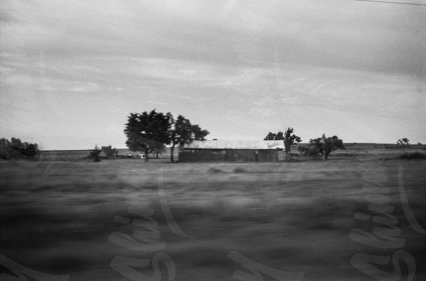 Small Photo Print by Tara Dilloughery 5