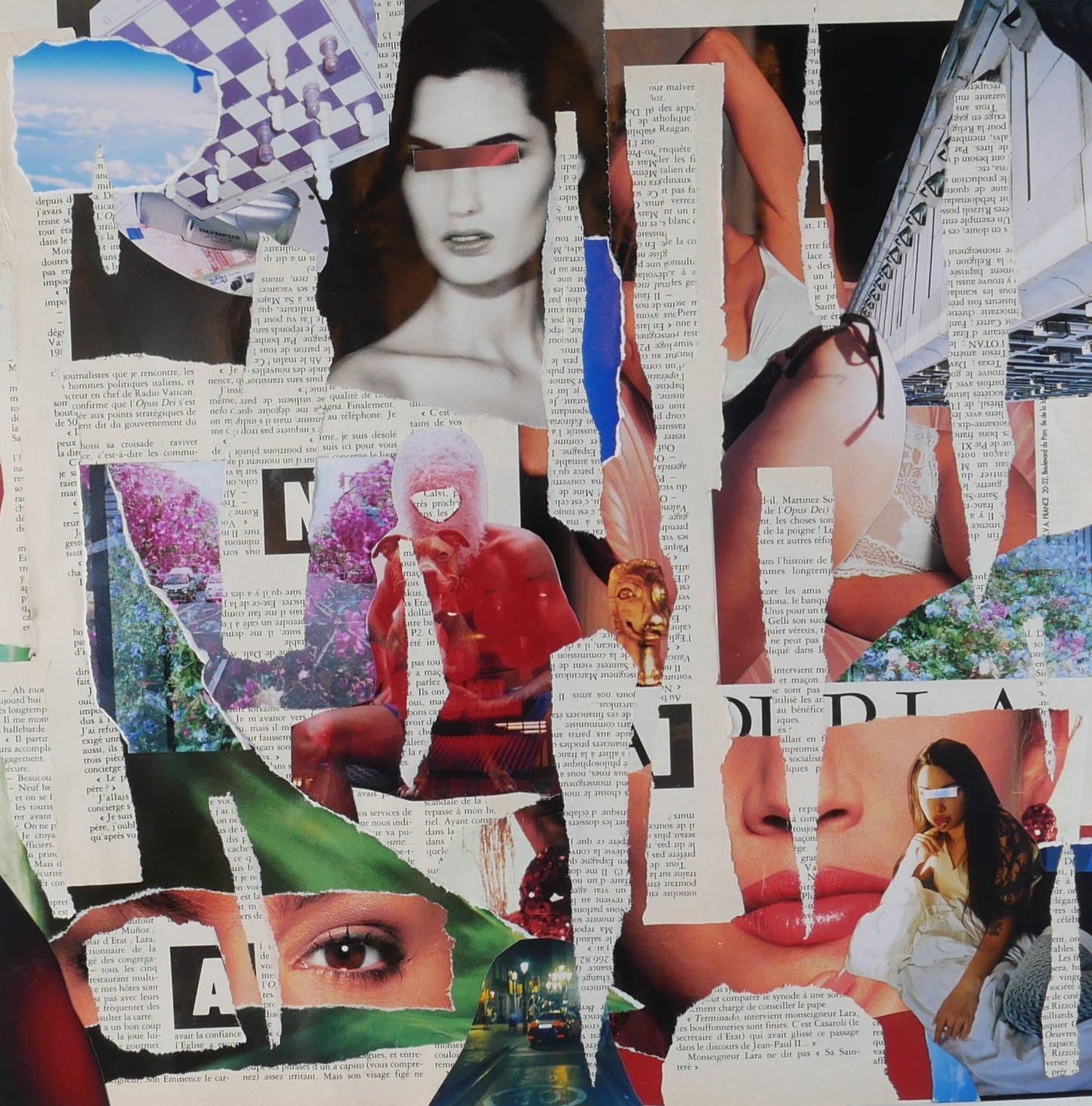 Personal Diary collage 4