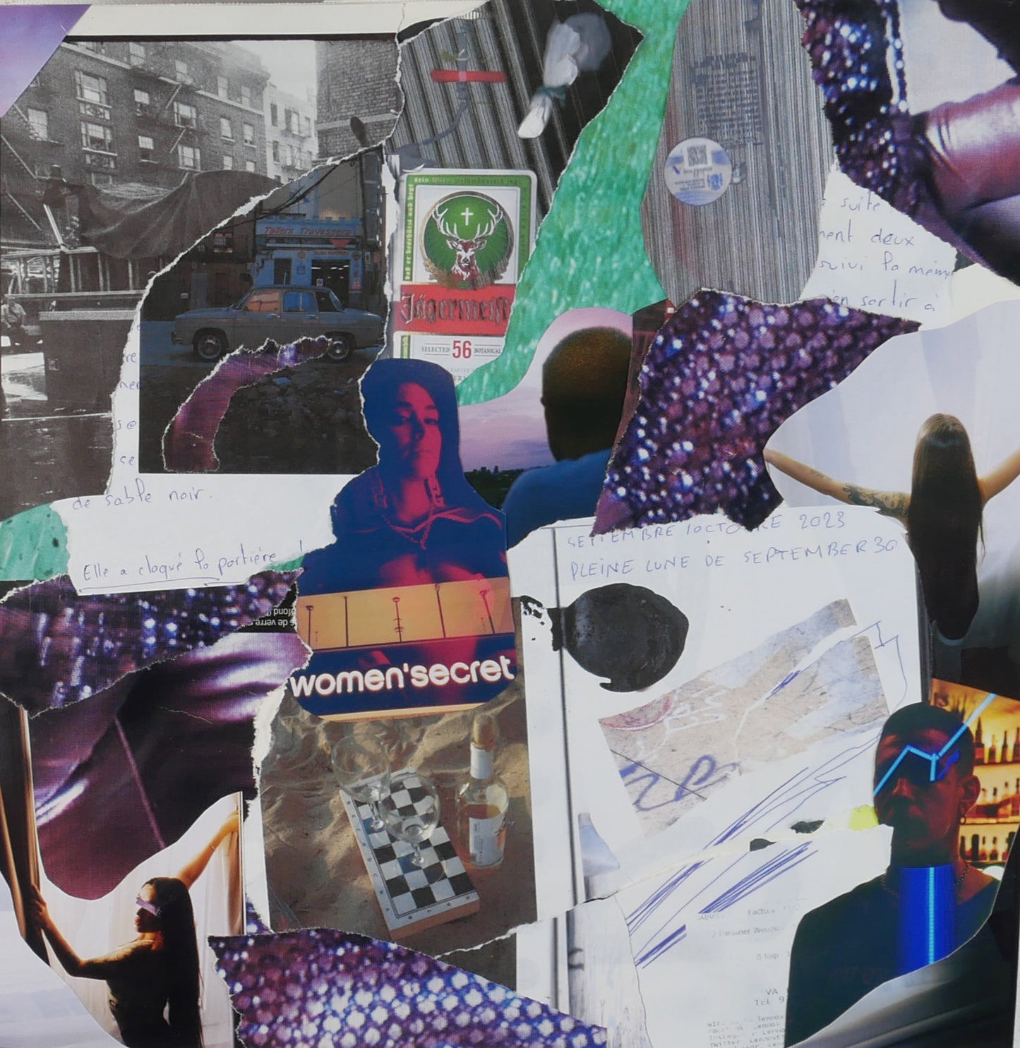 Personal Diary collage 7